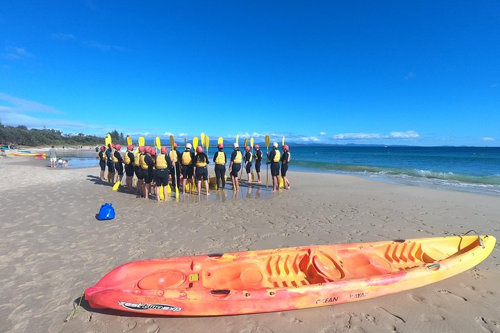 Kayak avec dauphins à Byron Bay Visite guidée