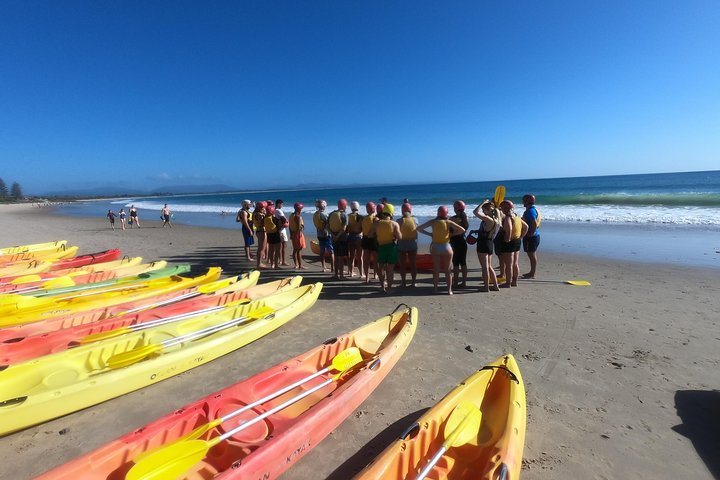 Kayak avec dauphins à Byron Bay Visite guidée