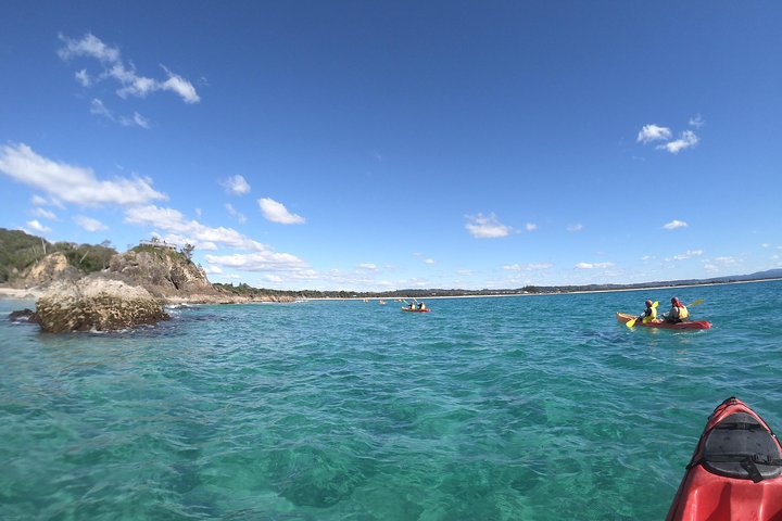 Kayak avec dauphins à Byron Bay Visite guidée