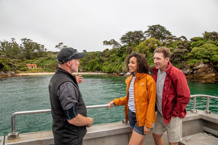 Ulva Island Explorer från Stewart Island
