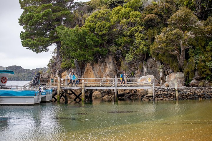Ulva Island Explorer från Stewart Island
