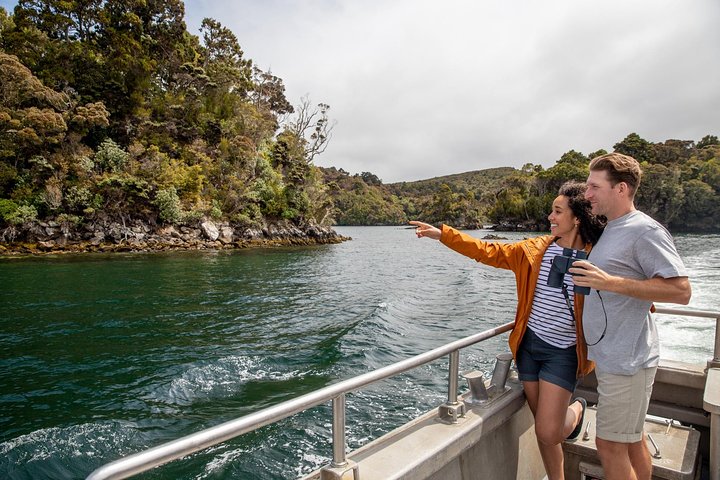 Ulva Island Explorer från Stewart Island