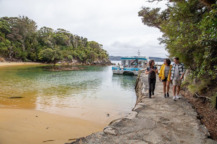 Ulva Island Explorer från Stewart Island