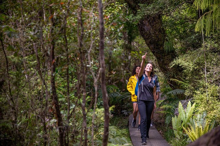 Ulva Island Explorer från Stewart Island