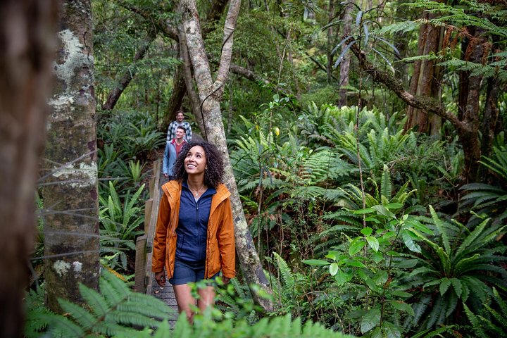 Ulva Island Explorer från Stewart Island