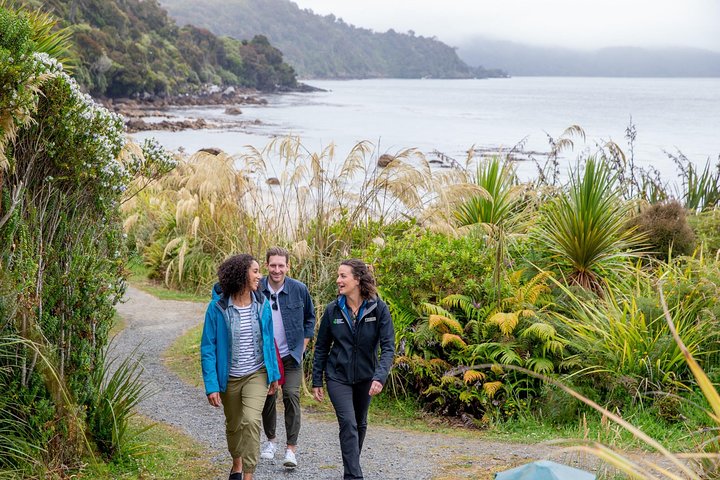 Stewart Island: Rakiura Landsby- og Bugtrundtur