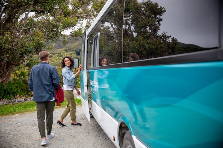 Stewart Island: Rakiura Landsby- og Bugtrundtur