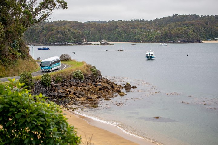 Stewart Island: Rakiura Landsby- og Bugtrundtur