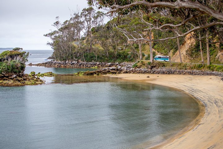 Stewart Island: Rakiura Landsby- og Bugtrundtur