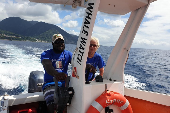 PH Whale Watch & Dolphin Cruise in Dominica