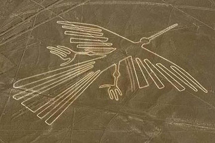 Heldagstur till The Huacachina Oasis och The Nazca Lines överflöd