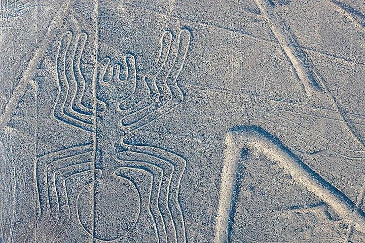 Heldagstur till The Huacachina Oasis och The Nazca Lines överflöd