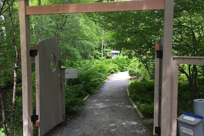 Premium berättad busstur i Bar Harbor och Acadia National Park (3,5 timmar)