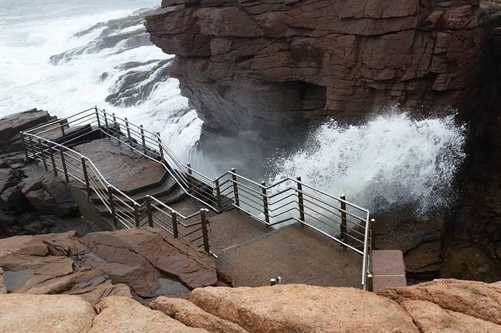 Premium berättad busstur i Bar Harbor och Acadia National Park (3,5 timmar)