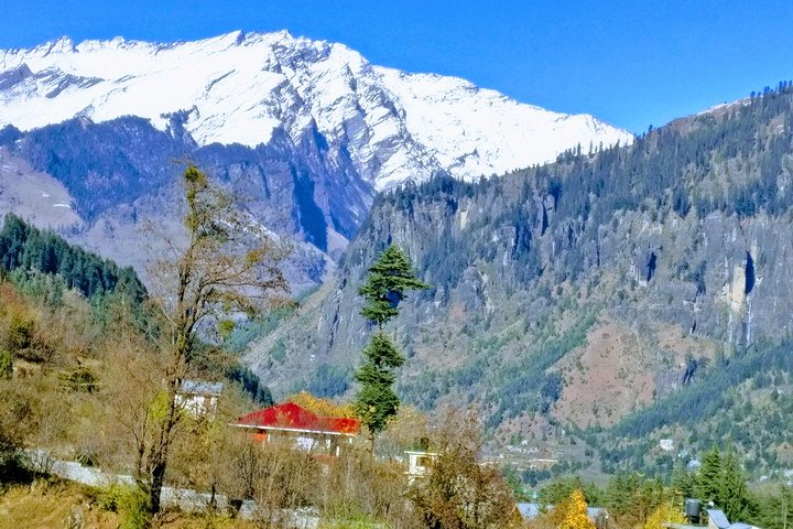 Randonnée privée d'une journée à Manali, sentier de montagne pittoresque à Manali