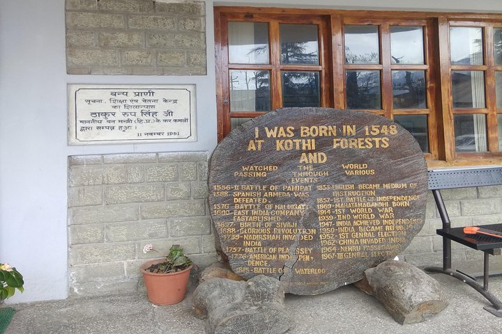 Visite à pied du patrimoine et de la culture Manali (visite guidée à pied de 2 heures)