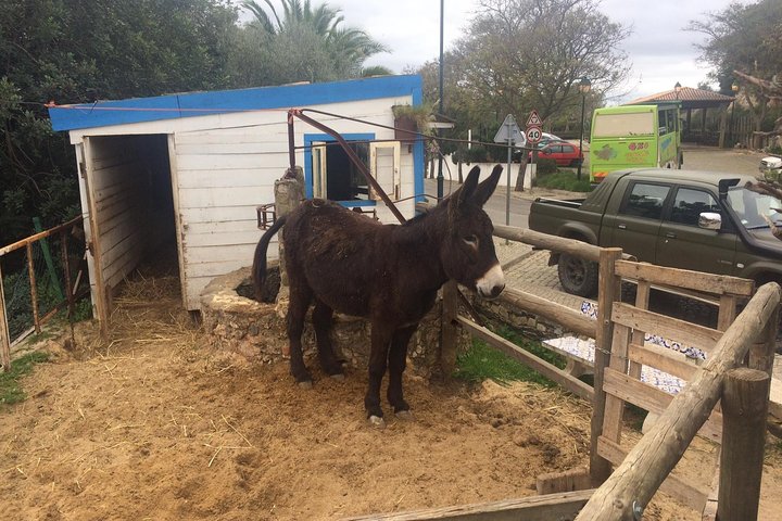 Erkunden Sie die Algarve auf dem Land - Halbtägige Jeep Safari