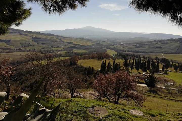 Liten grupp Montepulciano och Pienza dagstur från Siena