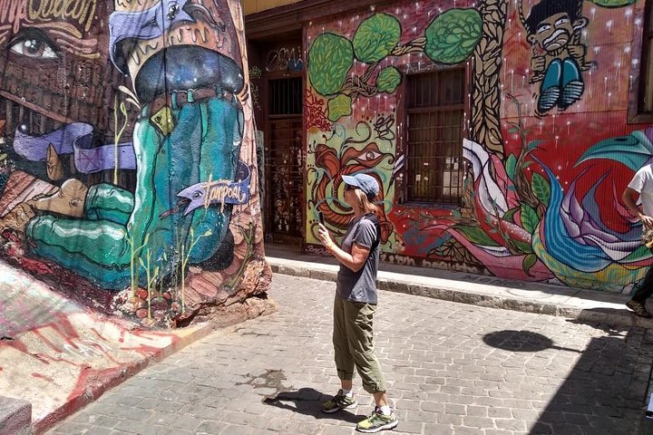Famoso Valparaíso! Premium Walking Tour con una guida nativa