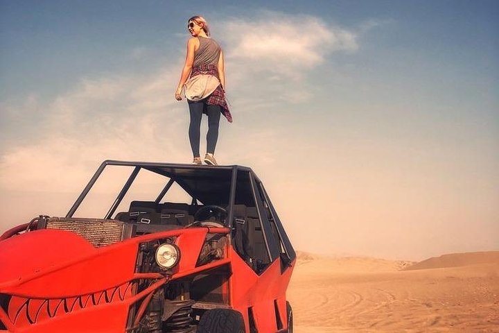 Heldag till Paracas Ica och Huacachina från Lima All Inclusive