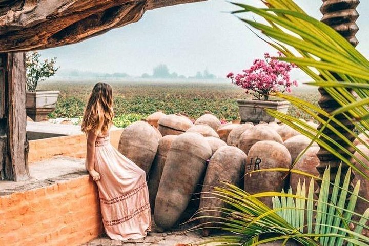 Heldag till Paracas Ica och Huacachina från Lima All Inclusive
