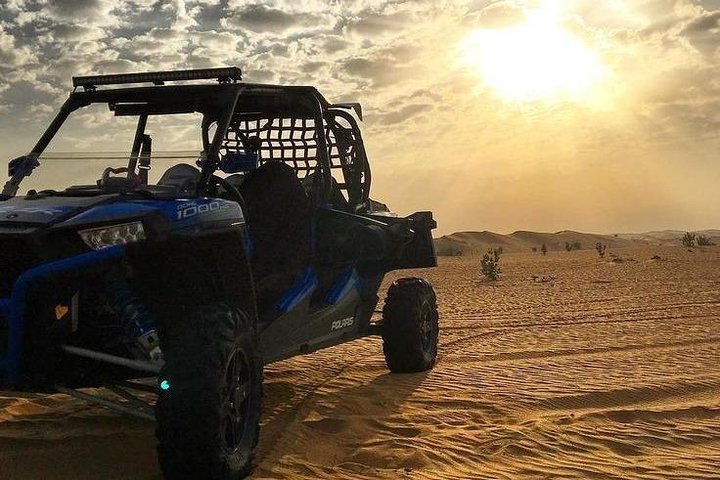 Heldag till Paracas Ica och Huacachina från Lima All Inclusive