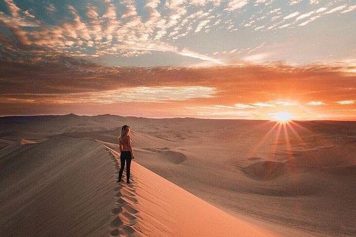 Heldag till Paracas Ica och Huacachina från Lima All Inclusive