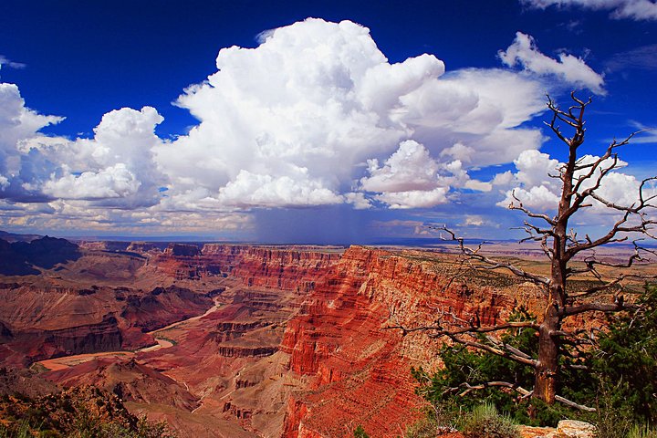Safari al tramonto fuoristrada di 3 ore al Grand Canyon con deviazione dal cancello d'ingresso