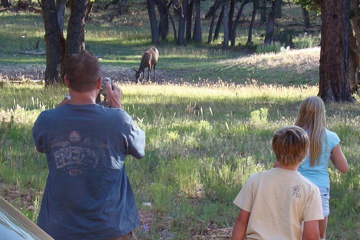 Safari al tramonto fuoristrada di 3 ore al Grand Canyon con deviazione dal cancello d'ingresso