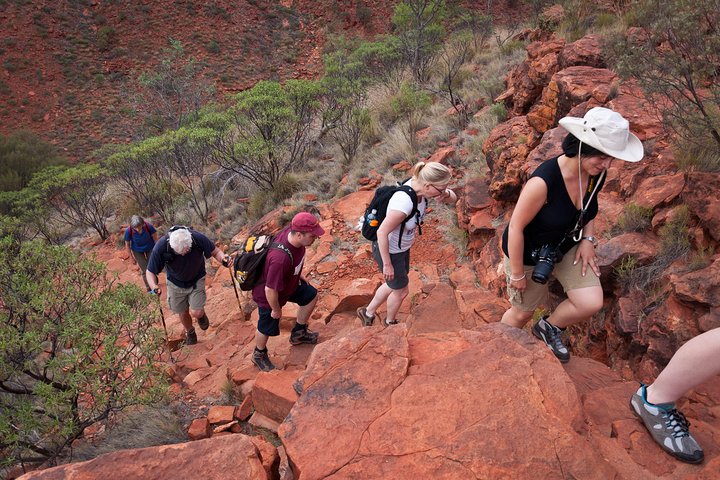 Uluru, Kata Tjuta e Kings Canyon Camping Safari di Alice Springs