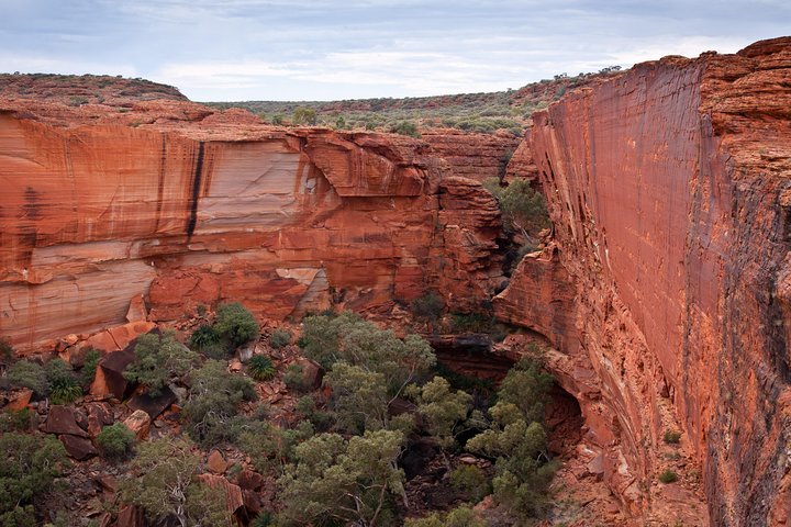 Uluru, Kata Tjuta e Kings Canyon Camping Safari di Alice Springs