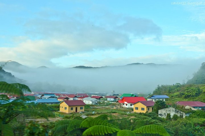 Privater Transfer: Taman Negara Kuala Tahan nach Cameron Highlands