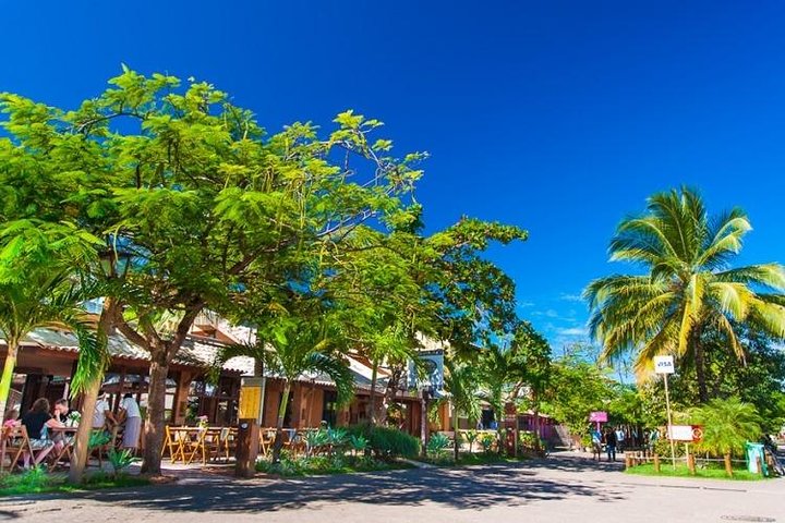 Tour Praia do Forte e Guarajuba, partenza da Salvador-Bahia.