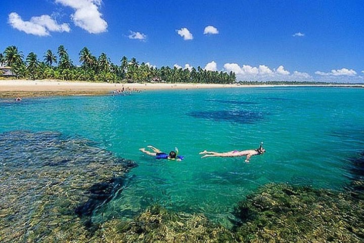 Tour Praia do Forte e Guarajuba, partenza da Salvador-Bahia.