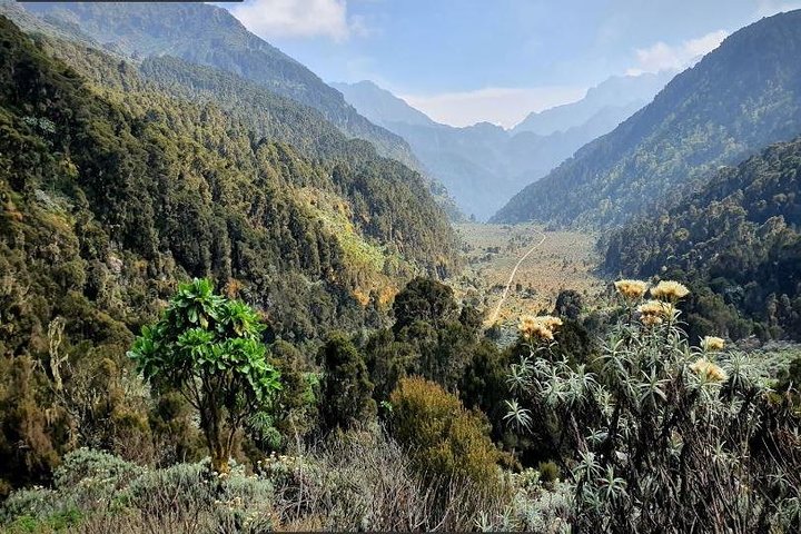 Randonnée en montagne de 7 jours en RD du Congo Rwenzori - Vues panoramiques (4462 m alt)