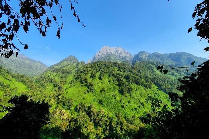Randonnée en montagne de 7 jours en RD du Congo Rwenzori - Vues panoramiques (4462 m alt)