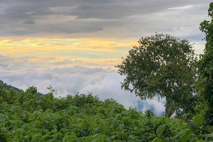 13 jours de randonnée sur le volcan Congo Nyiragongo et les montagnes Rwenzoris (lave et glacier))