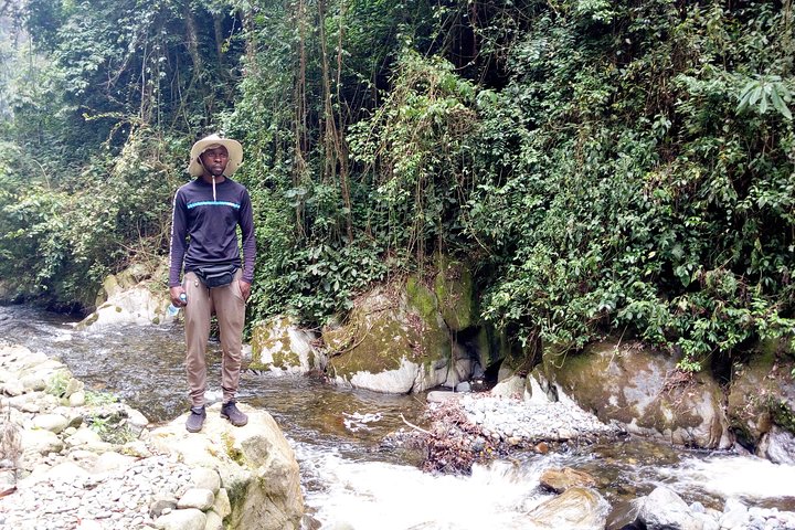 Randonnée en montagne de 7 jours en RD du Congo Rwenzori - Vues panoramiques (4462 m alt)