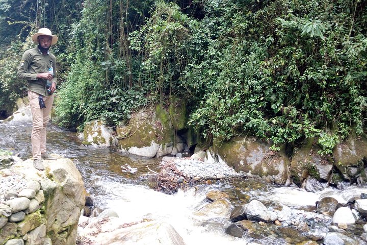 Randonnée en montagne de 7 jours en RD du Congo Rwenzori - Vues panoramiques (4462 m alt)