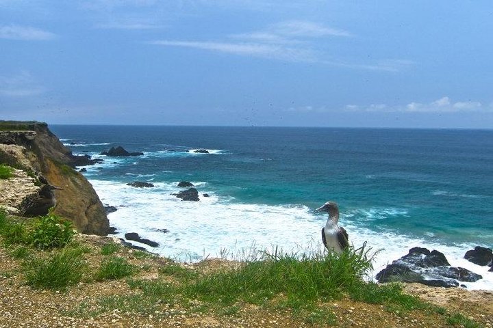 Tour snorkeling y ballenas - Parque Nacional Machalilla