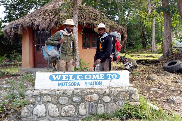 Randonnée en montagne de 7 jours en RD du Congo Rwenzori - Vues panoramiques (4462 m alt)