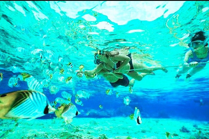 All Inclusive: Schnorcheln in der Blauen Lagune von Bali, Mittagessen und Transport
