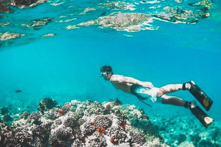 All Inclusive: Schnorcheln in der Blauen Lagune von Bali, Mittagessen und Transport