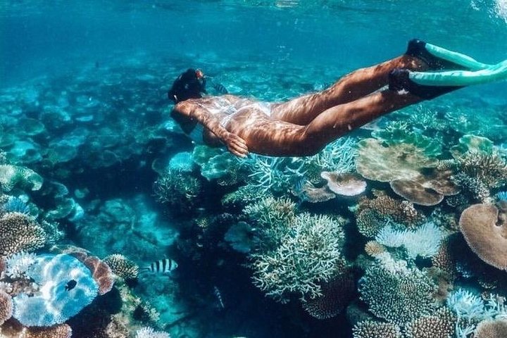 All Inclusive: Schnorcheln in der Blauen Lagune von Bali, Mittagessen und Transport