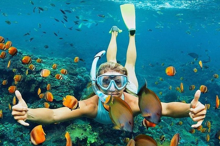 All Inclusive: Schnorcheln in der Blauen Lagune von Bali, Mittagessen und Transport