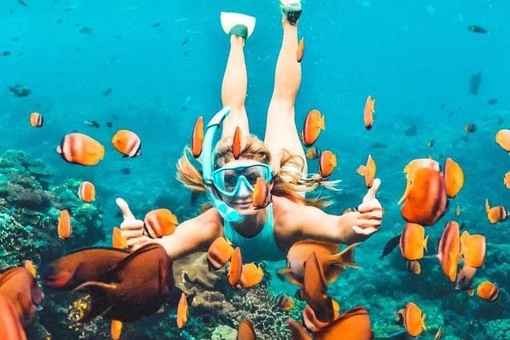All Inclusive: Schnorcheln in der Blauen Lagune von Bali, Mittagessen und Transport