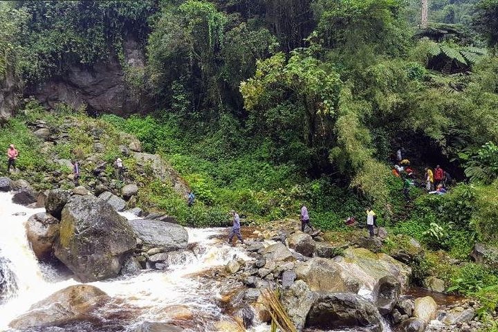 9 dias no Congo Rwenzori - Caminhada na montanha - atingindo o pico Margherita (5109 m de alt)