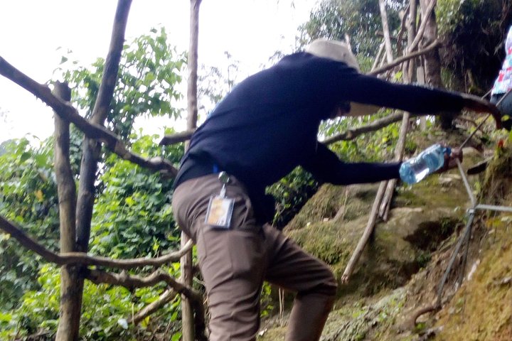 Caminhada nas Montanhas Rwenzori no Congo por 8 dias - Tocando na Geleira (4350m alt)