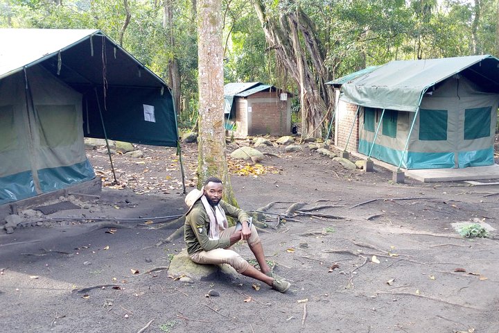 9 dias no Congo Rwenzori - Caminhada na montanha - atingindo o pico Margherita (5109 m de alt)