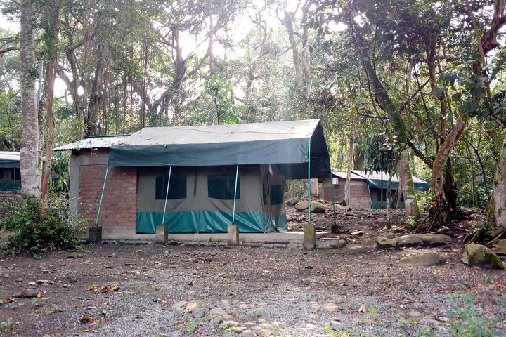 9 dias no Congo Rwenzori - Caminhada na montanha - atingindo o pico Margherita (5109 m de alt)